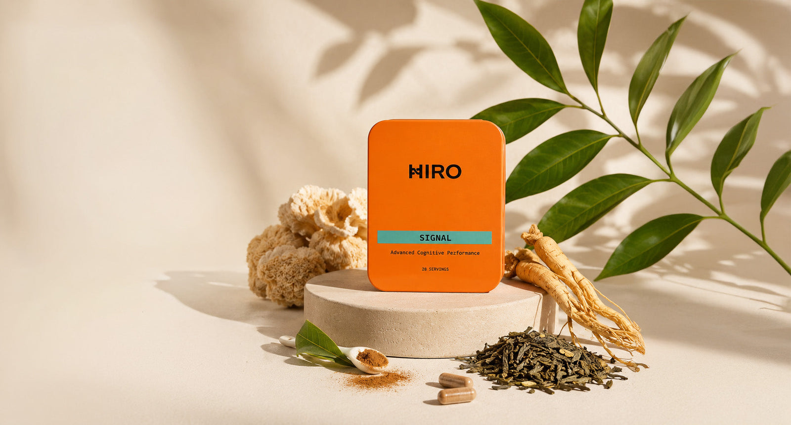 Nootropics without caffeine: the science behind SIGNAL's five key ingredients