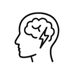 Cognitive Function, Stress Response & Mental Clarity