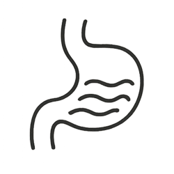 Gentle on the Stomach