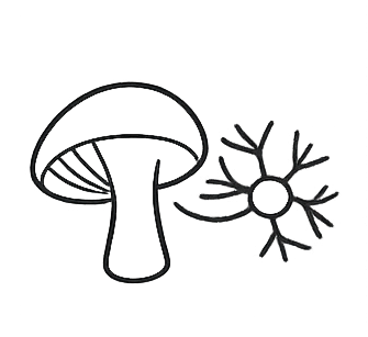 Long-Term Cognitive Regeneration
